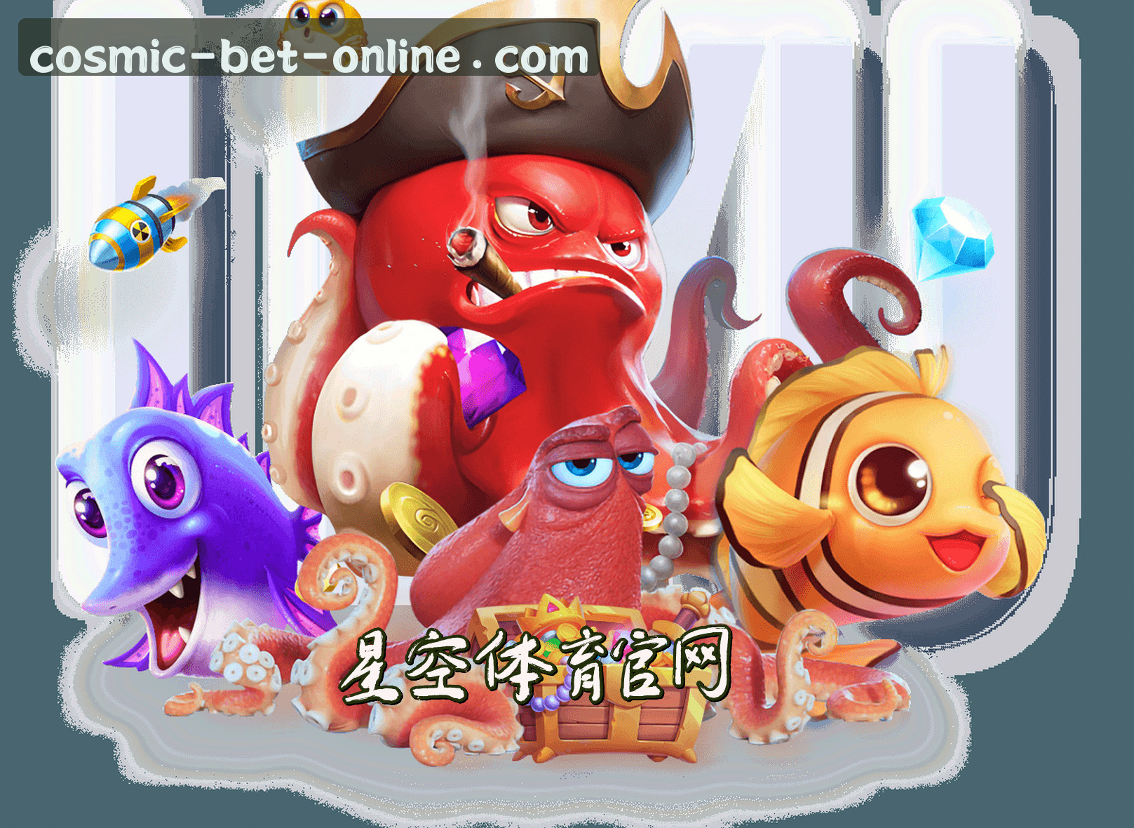 星空体育官方网站